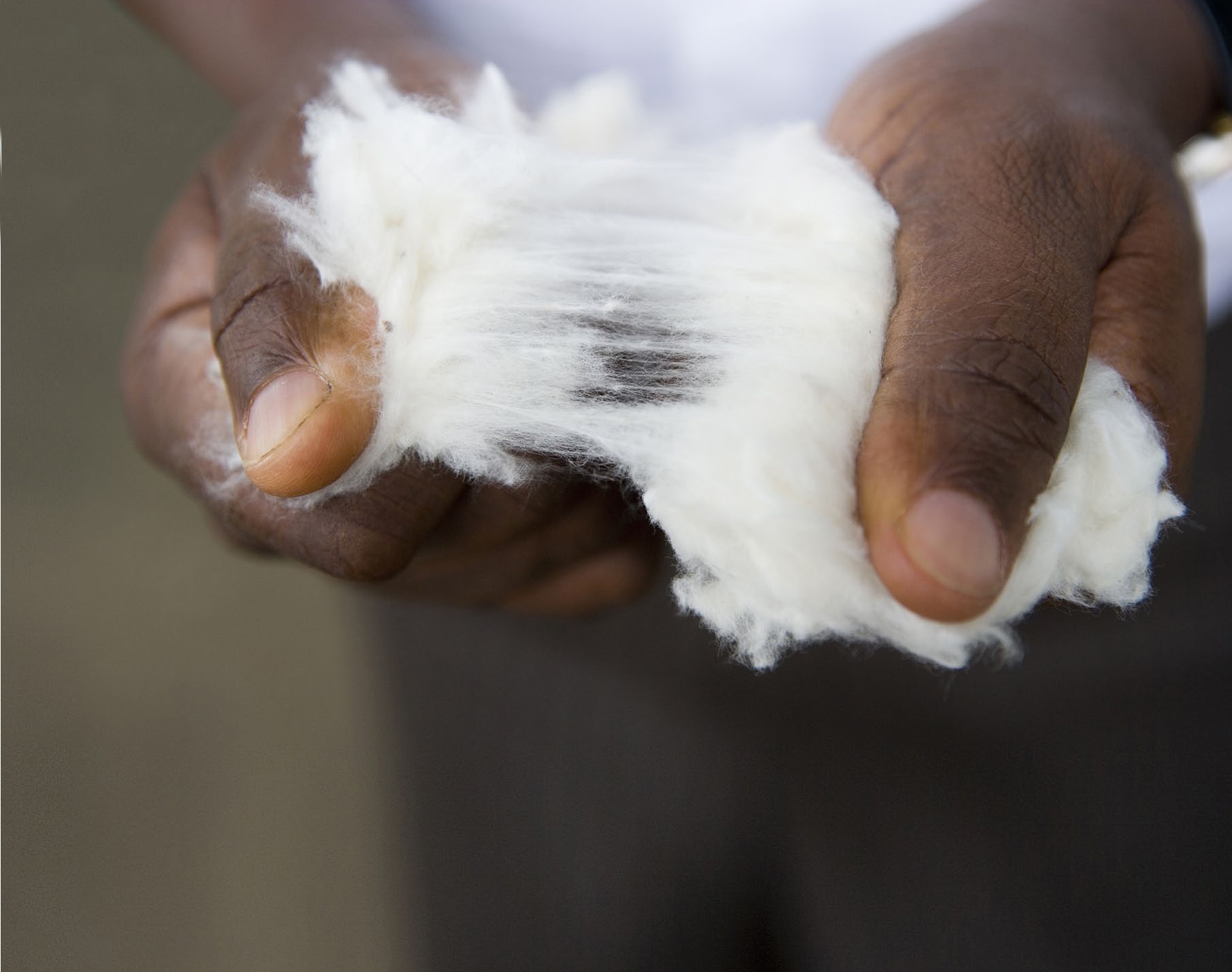 EIN ROHSTOFF AUF DEM PRÜFSTAND Im Rahmen der Untersuchung wurden der WASSERVERBRAUCH UND DIE TREIBHAUSGAS-EMISSIONEN von Cotton made in Africa auf Grundlage der Ökobilanz gemessen.