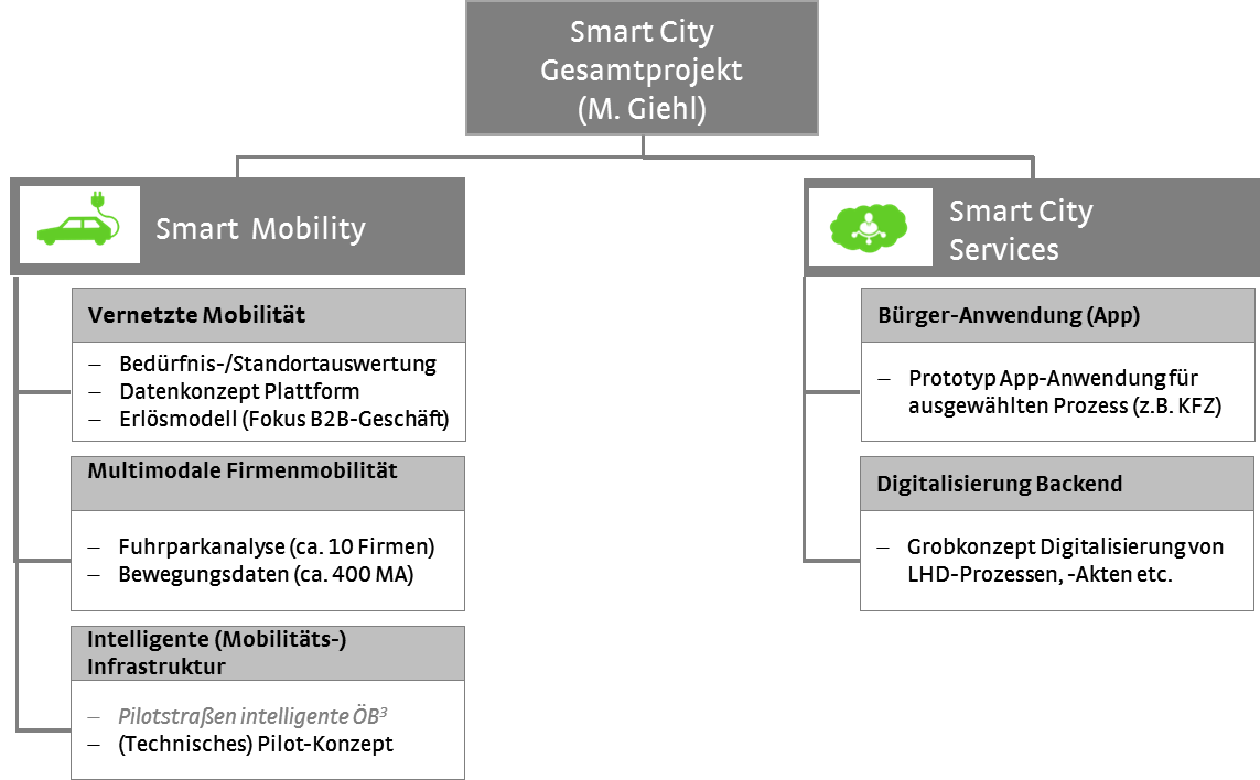 Der im Folgenden beschriebene Ansatz wird durch fünf zentrale Handlungsfelder gekennzeichnet: - Smart Mobility (Multimodale und umweltbewusste Mobilität) - Smart City Services (Intelligente Dienste