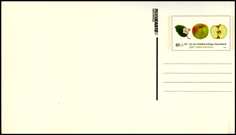 Februar 2010 - Blanko-Postkarte "Wohlfahrt - Apfel" - Digitaldruck - Format 162x114 mm - MiNr Pso 104 A / 02 Pluskarte individuell und schwarzer Teilstrich sind nachträglich mit Digitaldruck