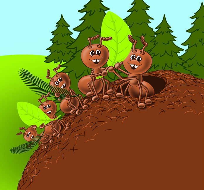 Wally ist ein kleines Ameisenmädchen. Sie lebt mit ihrer Familie in einem großen Ameisenhaufen am Waldrand.