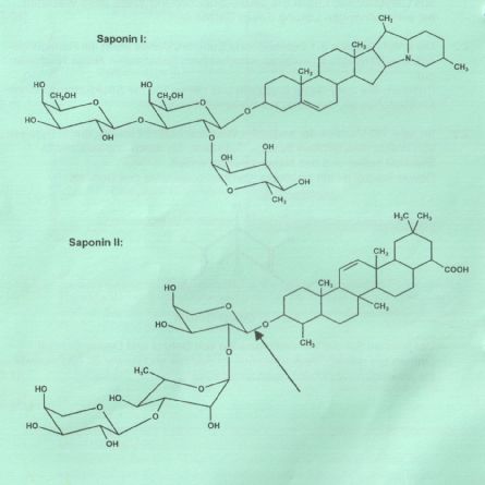 mit einer wässrigen Lösung dieses Salzes dar! [ 10 BE] 2.2 Die unter Aufgabe 2.