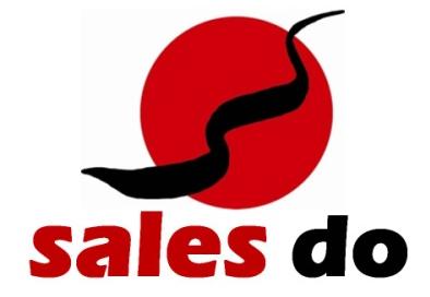 Was ist? sales (engl. Verkauf, Vertrieb) wirtschaftliche Komponente do (korean.,jap.