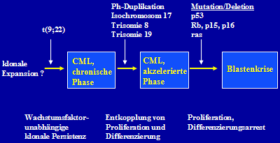CML: Uniformer Verlauf 4-5