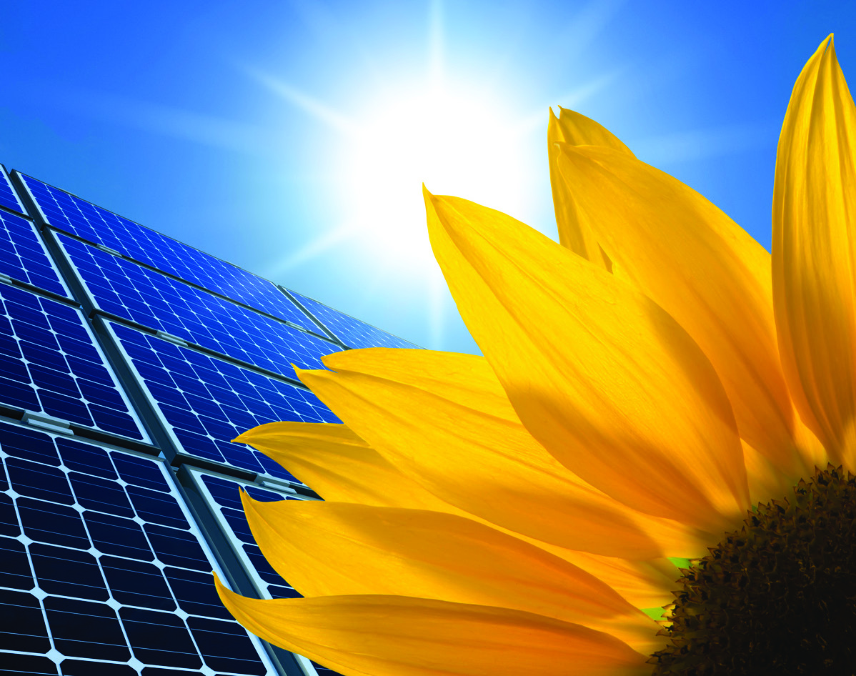 Effizient und innovativ Ökologische Aspekte Neben der Wirtschaftlichkeit des Projektes erzielen Sie auch einen ökologischen Gewinn. Die Solaranlage mit insgesamt ca.