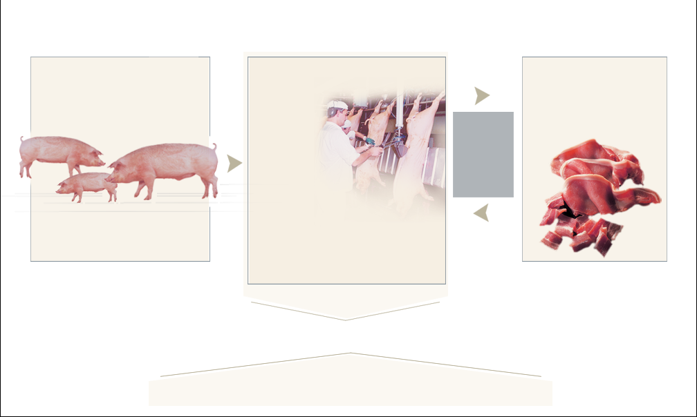 Die dänische Schweinefleischbranche 12.000 Schweineproduzenten 24 Mio. Schweine 1,9 Mio. t. Schweinefleisch Wert: 2,8 Mia. Euro Lebender Export: 1,8 Mio. Private Schlachtbetriebe: 0,8 Mio.