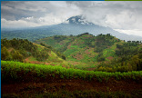 Perspektiven der Waldwirtschaft in Afrika, Asien und Lateinamerika Michael Kleine International