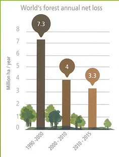 Globale Waldinventur (FRA) 2015 Waldfläche seit 1990 zurückgegangen (ab 2010 3,3 mio.