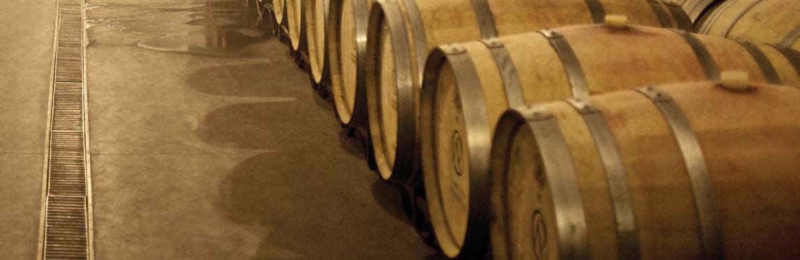 Portugals heimische Rebsorten - ein nationales Vermächtnis. Spannend, unverwechselbar, ausgezeichnet und beliebt bei Generationen von Weinliebhabern portugiesischer Weine.