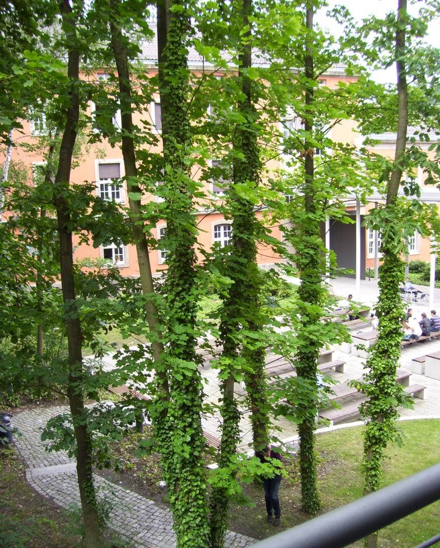 Universität Potsdam, Standort Babelsberg Universität Potsdam: mehr als 20.000 Studierende Standort Babelsberg: rund 5.