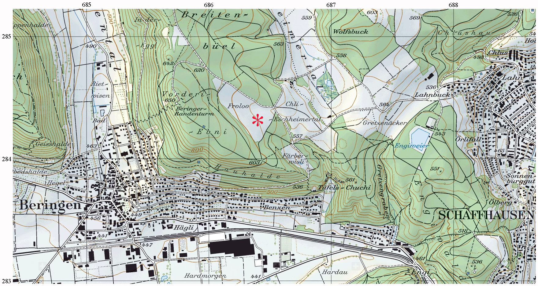 5. Datenerfassung (4 Punkte) Sie finden auf einer Wiese 4 Pflanzen von Traunsteinera globosa. Der Fundort ist im Kartenausschnitt (Landeskarte 1:25'000) rot markiert.