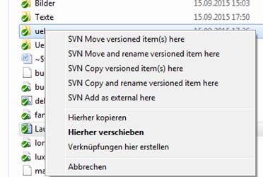 Es wird nun SVN Move versioned files here ausgewählt.