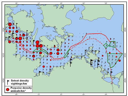 Karte unten: Verteilung der Schweinswale (rote Kreise, je größer die Kreise, desto mehr Schweinswale kommen vor)