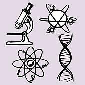 2. Naturwissenschaften (NW) In dem Fach Naturwissenschaften werden die drei Fächer Bilgie (Wrin besteht das Lebendige?) Chemie (Wraus bestehen die Stffe?) Physik (Wher kmmen die Kräfte?