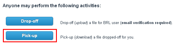 4 Herunterladen von Daten als BRL Nutzer Auf der Startseite der File-Box wird zum Herunterladen von Dateien die Schaltfläche Pick up geklickt: 12 Auf der nächsten Seite müssen dann die richtigen