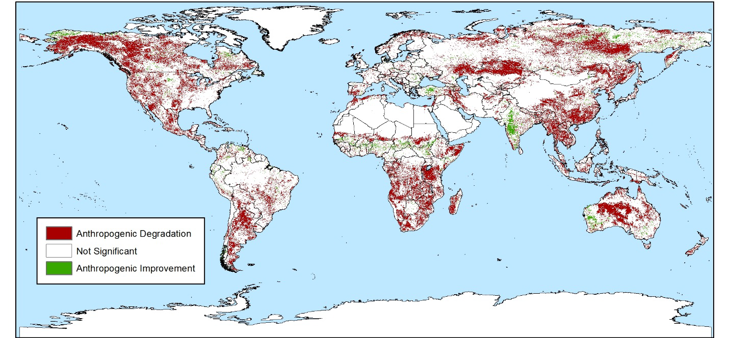 Globales Problem: Land- und Boden-Degradation (unter Berücksichtigung von Carbon Düngung und Niederschlagsvariabilität)