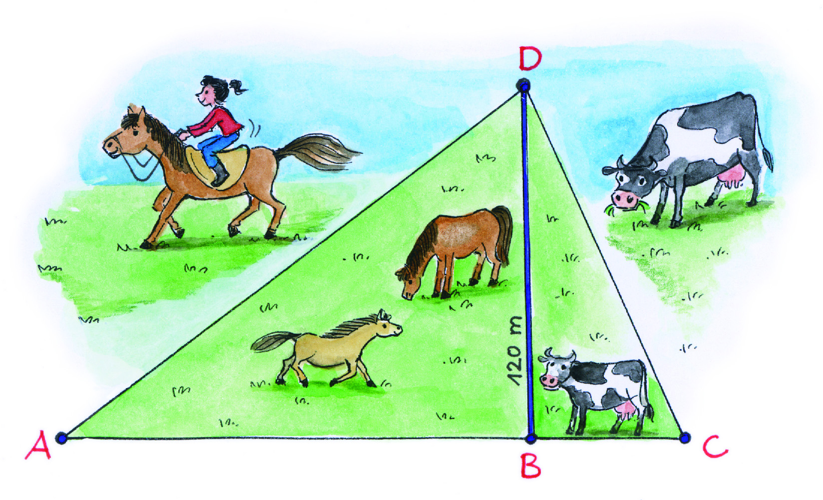 Leistungstest zur Wiederholung Testaufgabe 4 Eine dreieckige Weide für Pferde und eine dreieckige Weide für Kühe haben eine gemeinsame Grenze. Diese Grenze von B nach D ist 120 m lang.