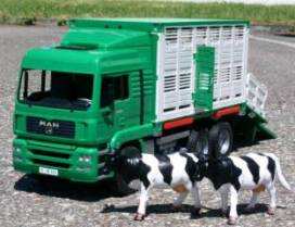 Verordnung (EG) Nr. 1/2005 über den Schutz von Tieren beim Transport gültig seit 5.1.2007 weiterhin gültig TiertransportVO und Tierschutzgesetz Dr.