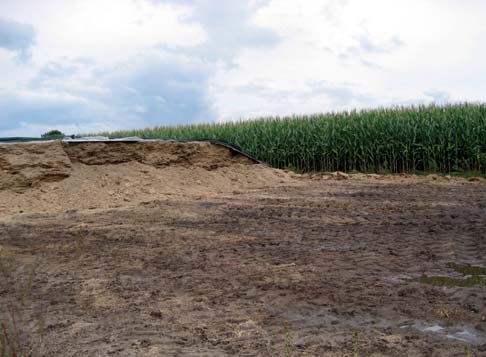 Bioenergie aus landwirtschaftlicher Biomasse Mais Maissilage ist derzeit mit rund 90% das am häufigsten für die Biogaserzeugung verwendete Substrat.