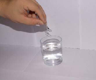 Wasser Schwimmt eine Büroklammer? 1 Büroklammer 1 Glas Wasser Spülmittel Wie du vorgehst: 1. Fülle das Glas mit Wasser 2.