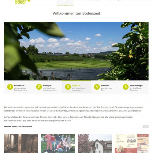Projekt Bodenseebauer (Internetportal) www.
