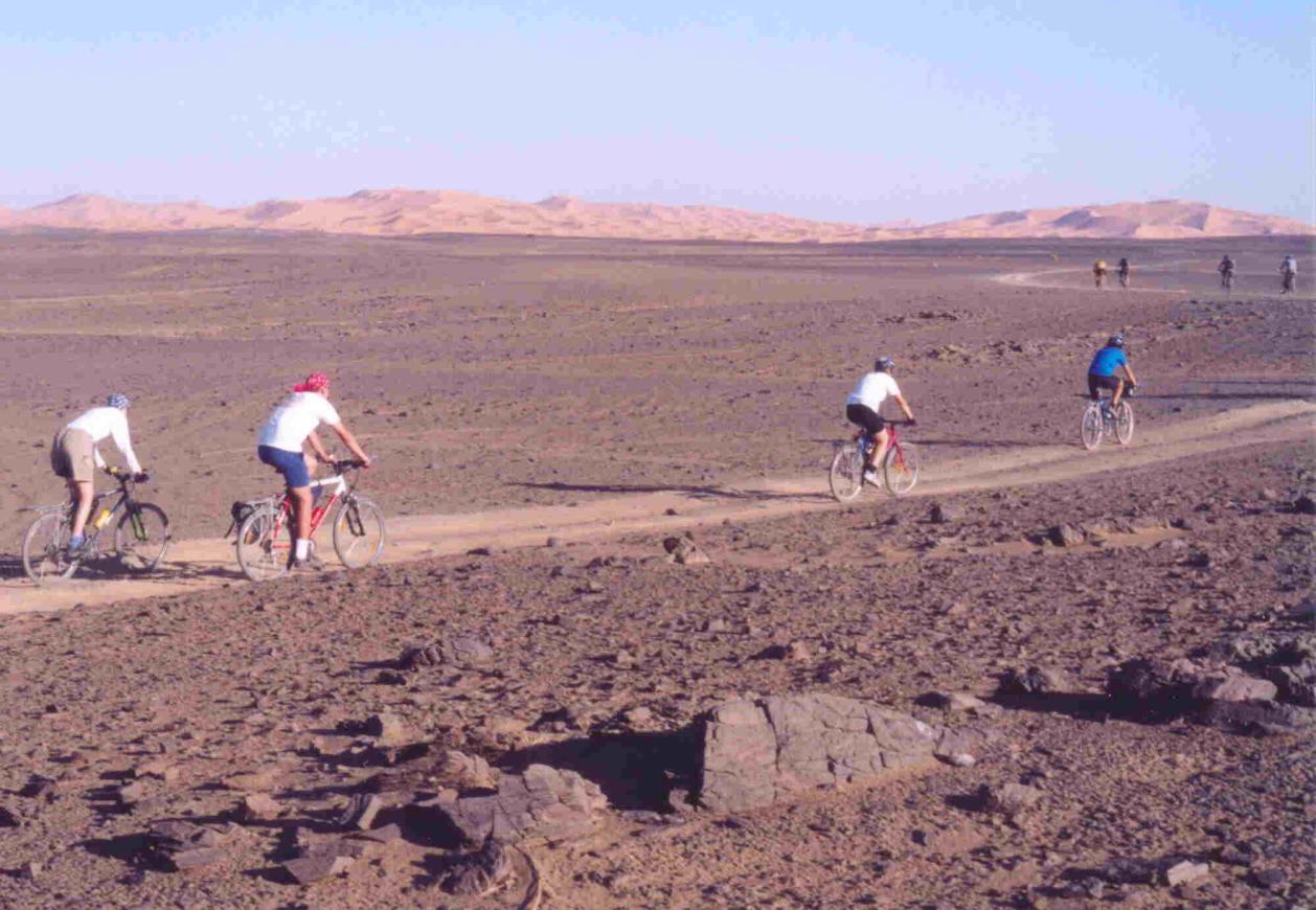 Ansonsten ist das die typische Wüstenlandschaft. Wir trafen Radfahrer aus Europa, auch einsam sich dahinquälende Ehepaare auf schwer bepackten Rädern. Tagsüber ist es derzeit (16.