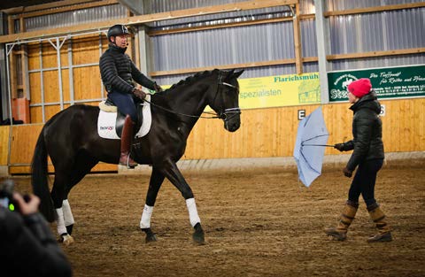 Pferdewissenschaften Internationale Netzwerktagung Pferdewissen in Göttingen (shö) Mit mehr als 150 Teilnehmern war die zweite Netzwerktagung Pferdewissen ein voller Erfolg.