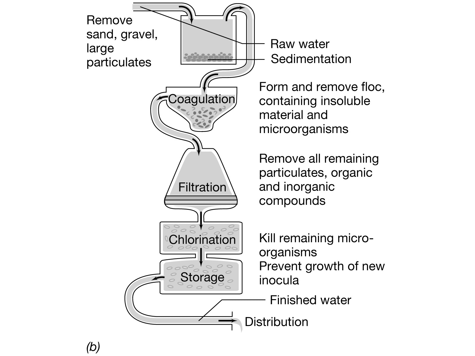 Elimierung von Stickstoff in der Abwasserreinigung Harnstoff Nitrifikation Ammonium -> Nitrat