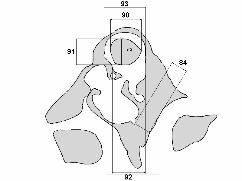 Abbildung 2.7.22 Schema 2 bzgl. der Vermessungen im Bereich des oberen Bogenganges und angrenzender Strukturen. X-Ebene.