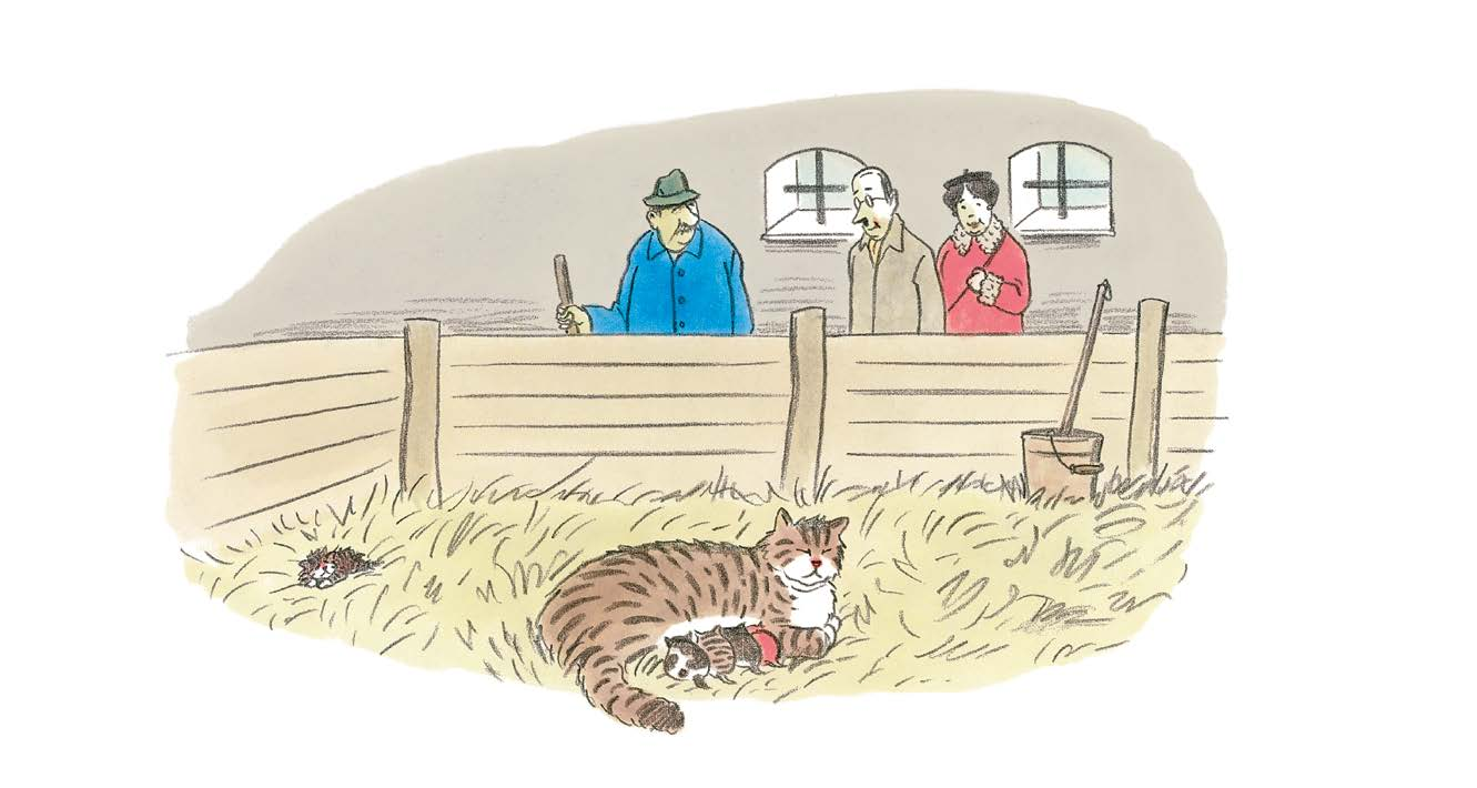 Die Lohmeiers hören, auf dem Hof vom Bauer Lorenz soll es neugeborene Kätzchen geben. Wir kommen, sagt Herr Lohmeier. Er will auf jeden Fall einen richtigen Bauernkater.