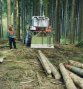 Sicherheit und Waldarbeit