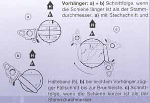 Vorhänger: a) + b) Schnittfolge, wenn die Schiene länger ist als der Stammdurchmesser, a) mit Stechschnitt und Halteband (5), b) bei leichtem Vorhänger zügiger Fällschnitt bis zur Bruchleiste.