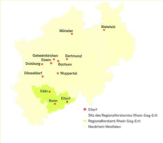 Die Ausgangssituation im Regionalforstamt Rhein-Sieg-Erft Zuständigkeitsbereich Rhein-Sieg- Kreis, Rhein-Erft-Kreis; Städte Köln und