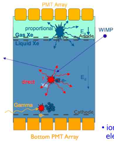 WIMP-Streuung: 1) direktes Lichtsignal S1 2) drift der Elektronen zu Gas-phase 1.