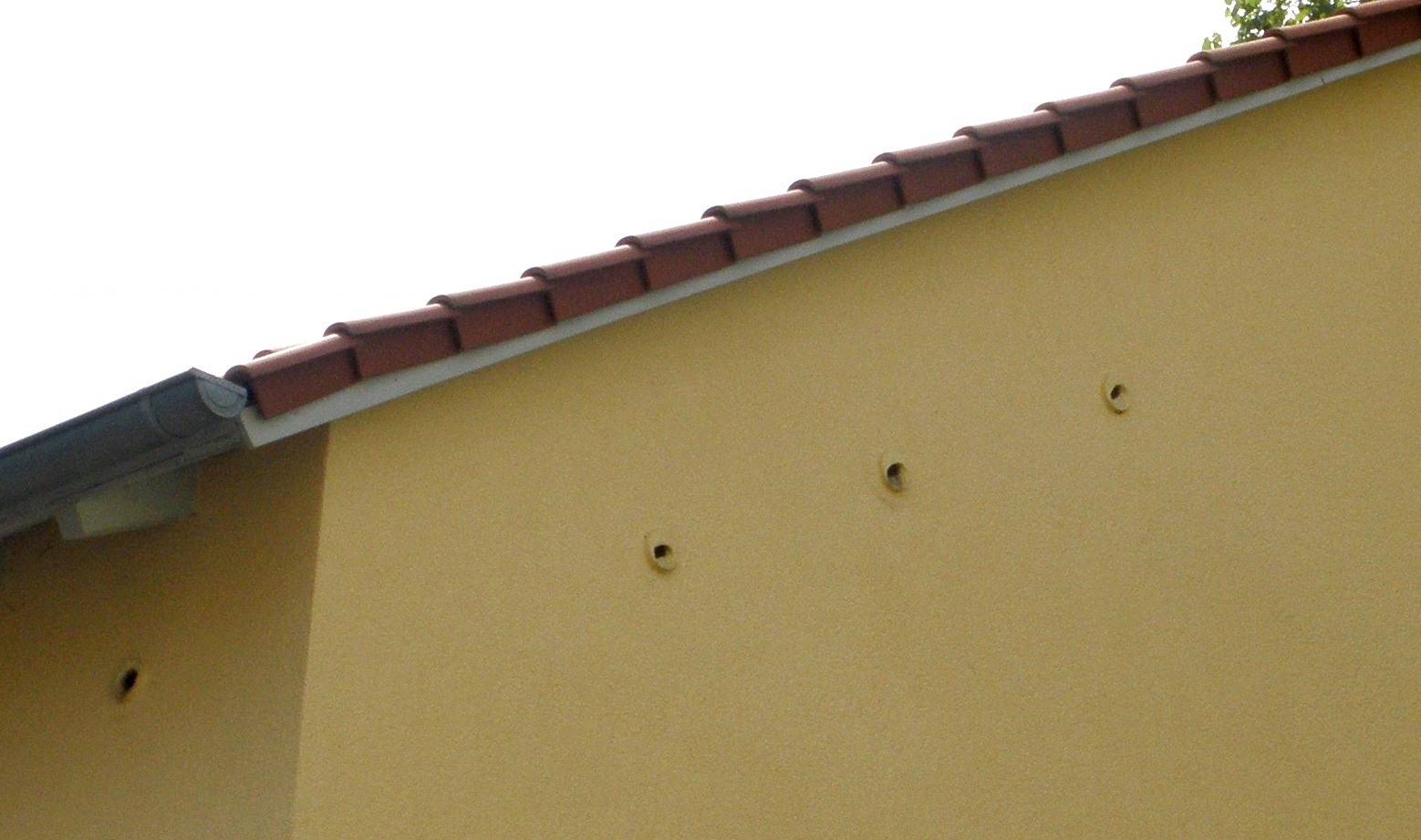 Beispiele für Nisthilfen und Fledermaus-Spaltenquartiere Nistkästen für Mauersegler und Haussperlinge sollten immer ganz oben an der Mauerkrone oder Traufe angebracht sein.