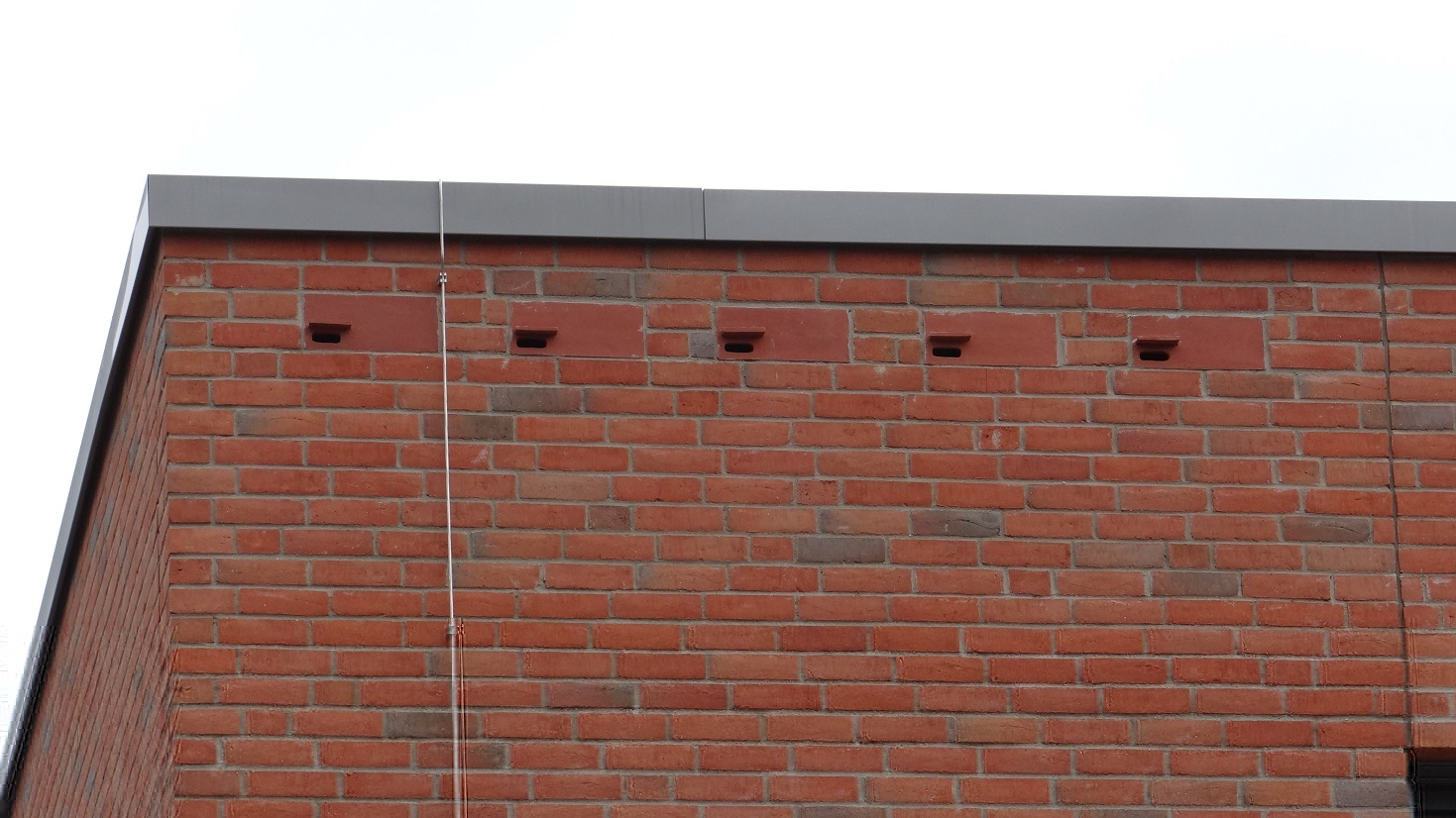 Nistkästen für Mauersegler und Haussperlinge zum Einbau in Wärmedämmverbund-Systeme Schwegler WDVS-Einbaukasten Typ 1A B 34 x H 13,5 x T15 cm Schwegler WDVS-Einbaukasten Typ 17A (Dreifachkasten) B 98