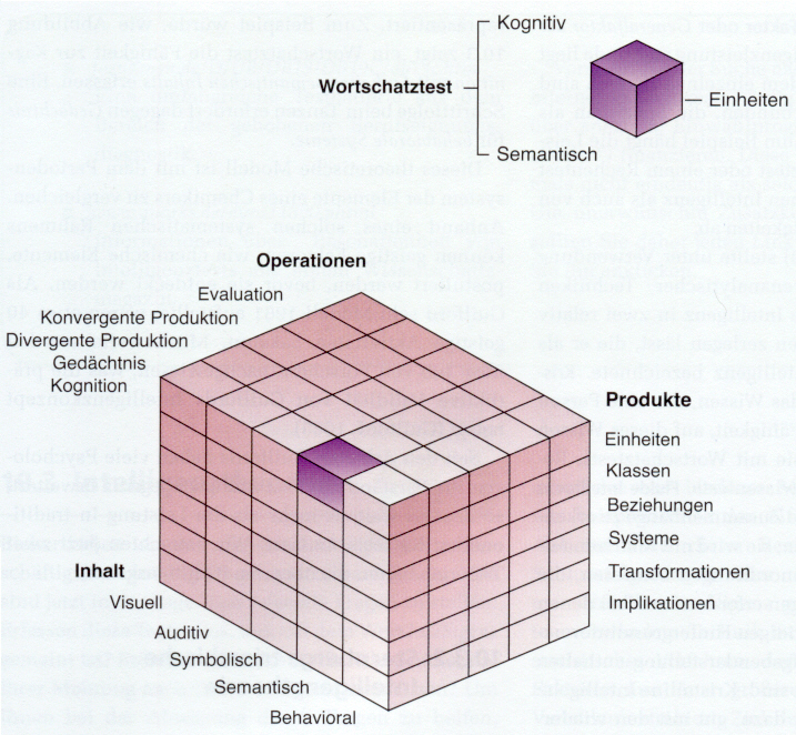 Jede geistige Aufgabe hat dreierlei Eigenschaften: (i) Inhalt = die Art der Information (ii) Produkt = Form der