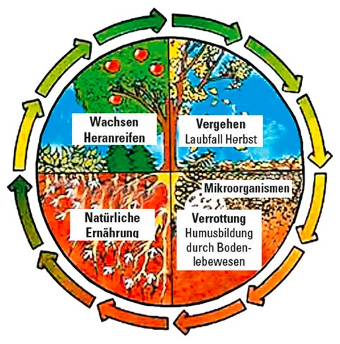 3 ACKERBAU / GARTENBAU 3.1 Aktivierung und Gesundung des Bodens Allgemein gültig ist der Grundsatz, dass ein biologisch aktiver und gesunder Boden auch gesunde Pflanzen und Früchte hervorbringt.
