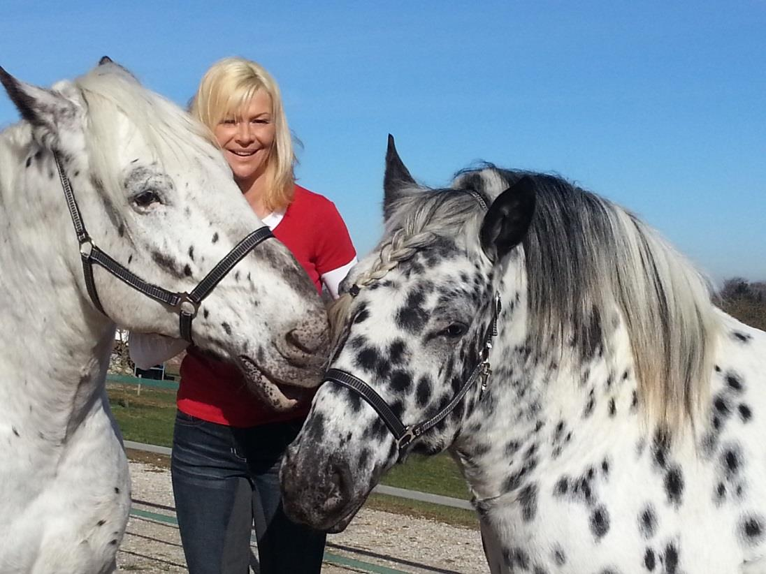 Über den Autor Daniela Schinko ist ausgebildete veterinärmedizinische Assistentin und hat sich auf die Physiotherapie am Pferd spezialisiert.