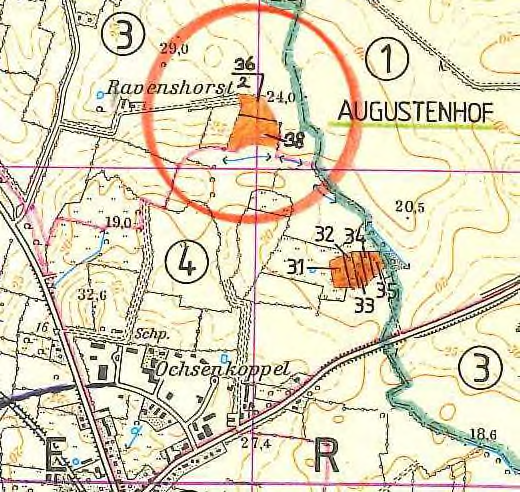 Eine Waldaufforstungsfläche liegt innerhalb des Abwägungsbereiches westlich von Augustenhof, wie die folgende Abbildung zeigt. Aus dem ca.