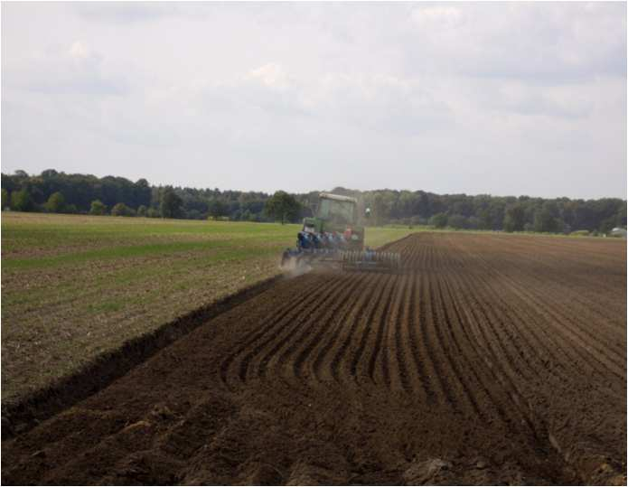 Zukünftige Forschungsvorhaben : Bewässerungsmanagement Pflug Mulchsaat Streifenbearbeitung wendende Bodenbearbeitung starker Lockerungseffekt nicht wendende Bodenbearbeitung