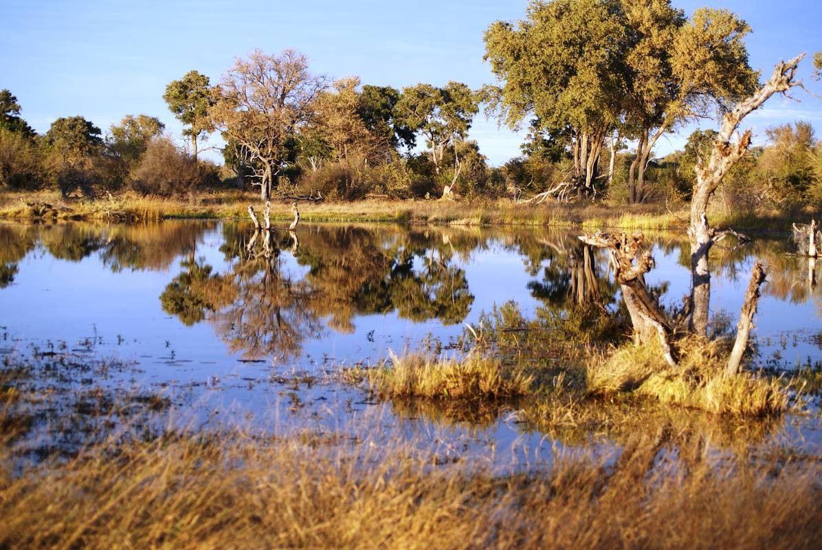 Safaritag 9: Kalahari zum Khwai Fluss Rund 250 km trennen uns noch bis zu unserem heutigen Tagesziel am Khwai Fluss in Botswana.
