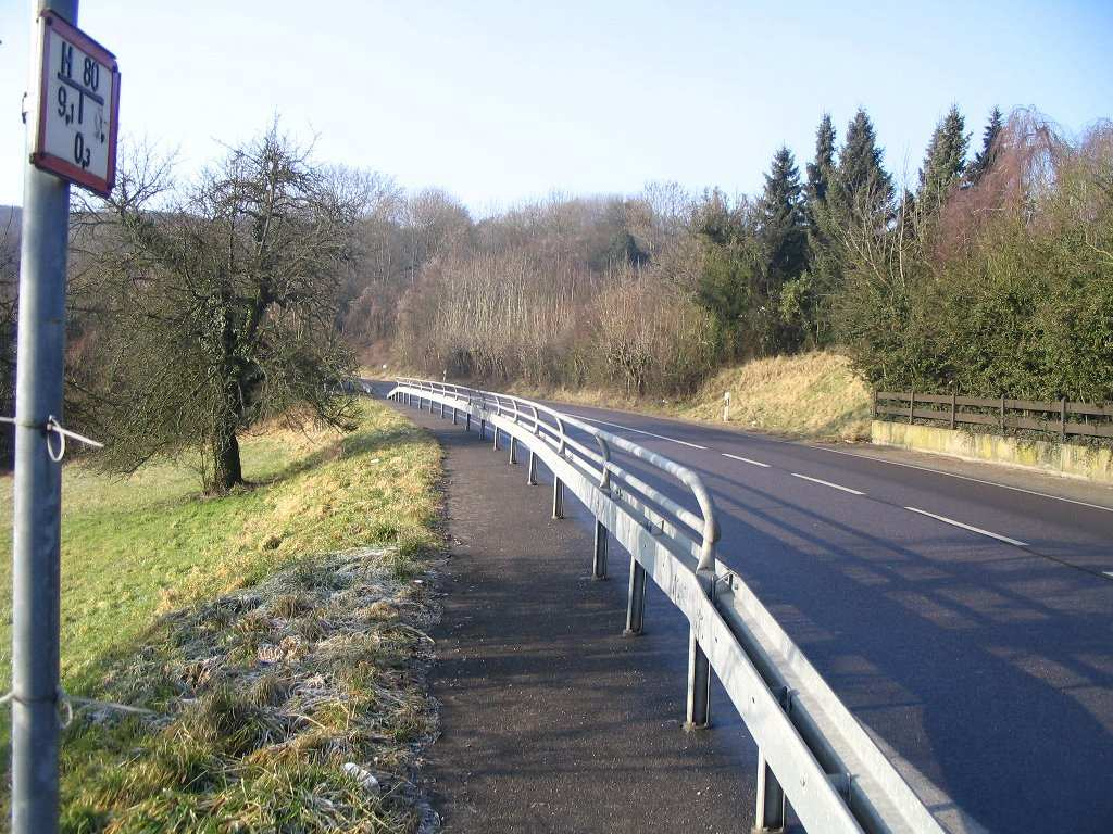 PGV Landesradverkehrsplan Saarland 86 Bild 6-14: Zu schmaler gemeinsamer Geh- und Radweg mit Unterhaltungsmängeln (L 167, Überherrn)