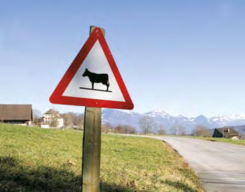 DeLaval Kuhkomfort-Leitfaden Tiersignale Was sind Tiersignale? Eine Kuh teilt Ihnen ununterbrochen mit, ob sie sich wohl fühlt und ob sie gesund ist.
