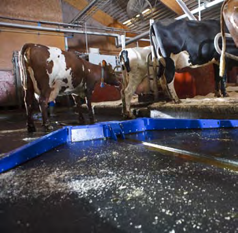 Reinigen DeLaval Reinigungssysteme sind der erste Schritt für eine rentable Entmistung. Sie erhalten viel Leistung und eine gründliche Reinigung, die jedoch nicht auf Kosten Ihrer Kühe geht.