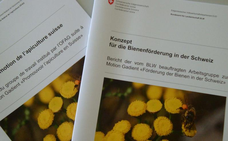 Konzept für die Bienenförderung in der Schweiz (BLW,