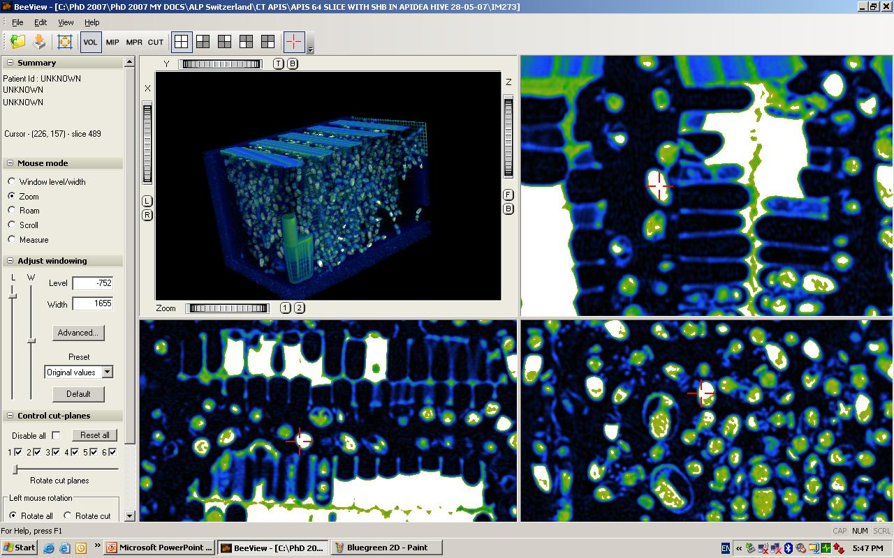 BeeView Volume Rendering