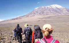 Mt. KILIMANJARO Der höchste Berg Afrikas wartet auf Sie!