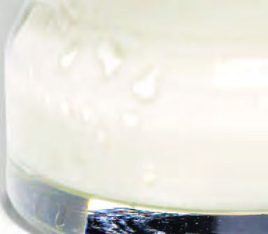 Die Kraft der Milch Was steckt in einem Glas Milch 1/3 der empfohlenen Menge KALZIUM und PHOSPHOR 1/3 der empfohlenen Menge an VITAMIN B12 Quellen: Elmadfa I et al.