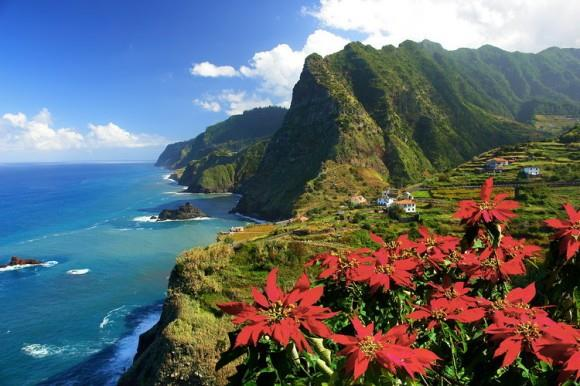 Madeira - paradiesische Blumeninsel im Atlantik 14. bis 21.
