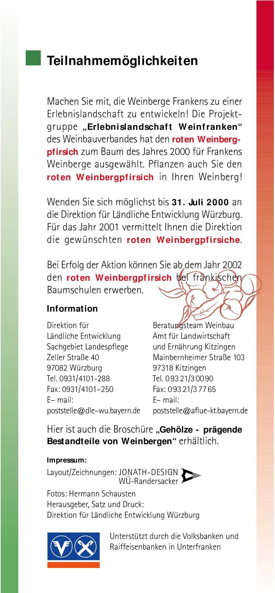 Pflanzen auch Sie den roten Weinbergpfirsich in Ihren Weinberg! Wenden Sie sich möglichst bis 31. Juli 2000 an die Direktion für Ländliche Entwicklung Würzburg.